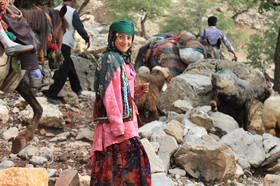 استقرار ییلاقی عشایر کوچرو استان بوشهر