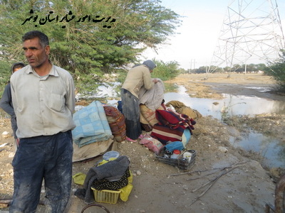 بارندگی های بی سابقه اخیر استان بوشهر و خسارات وارده به عشایر