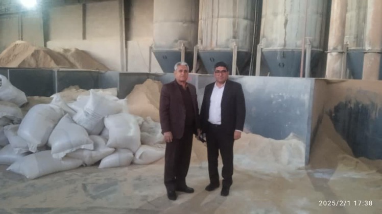 پیگیری تامین نهاده های دامی برای عشایر